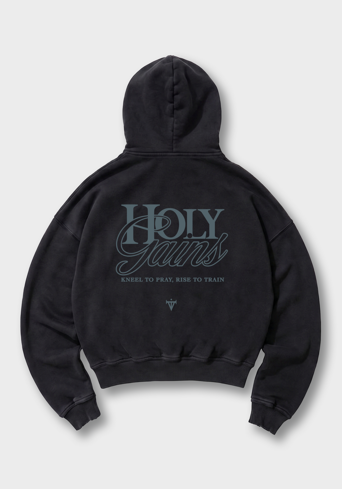 Holy Gains Oversized Hoodie - Black Back (Designed)
