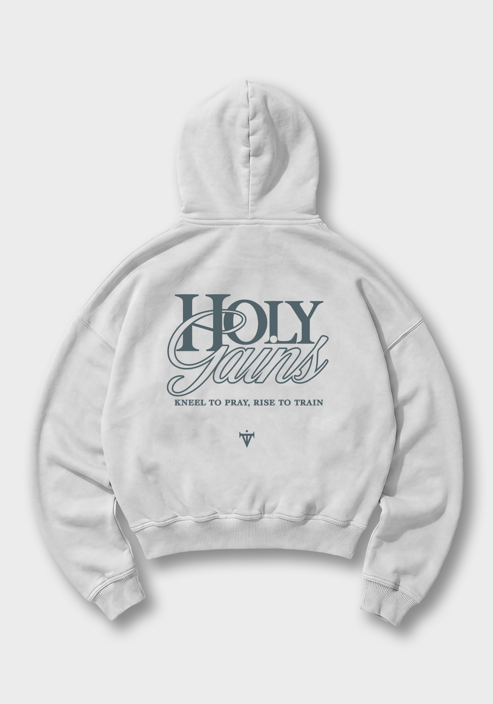 Holy Gains Oversized Hoodie - White Back (Designed)